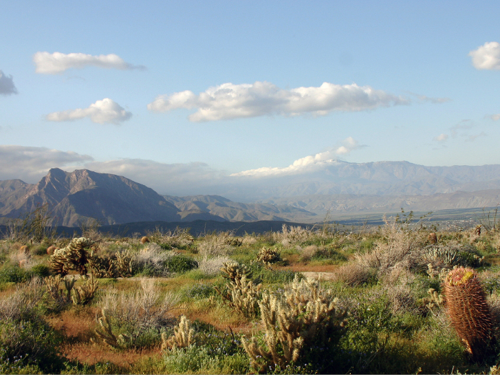 Anza-Borrego Desert State Park in San Diego County