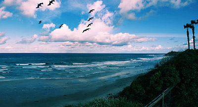 Cardiff by the Sea in San Diego CA