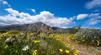 Anza-Borrego Desert State Park along Historic County Route S2